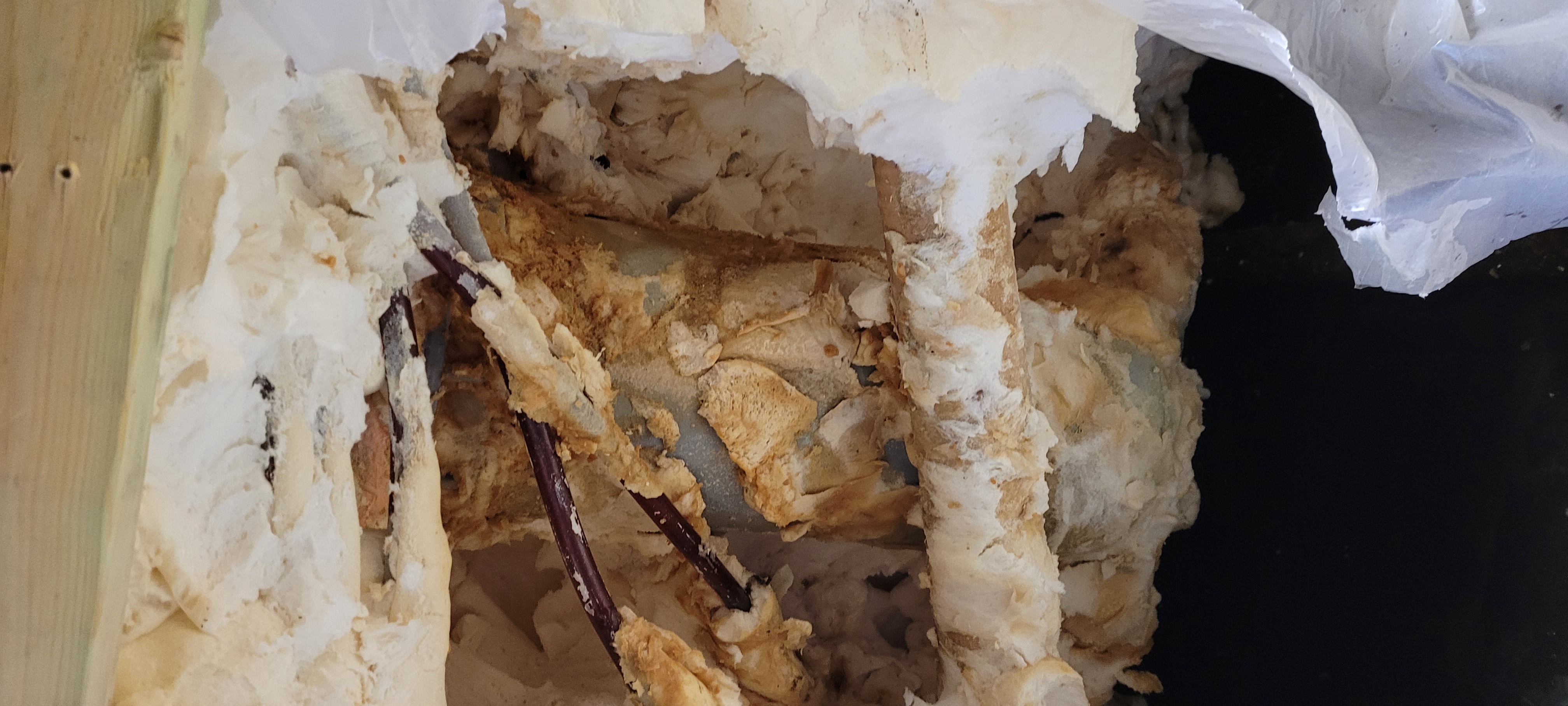 Torn full foam insulation exposing water damage and pressure treated wood framing