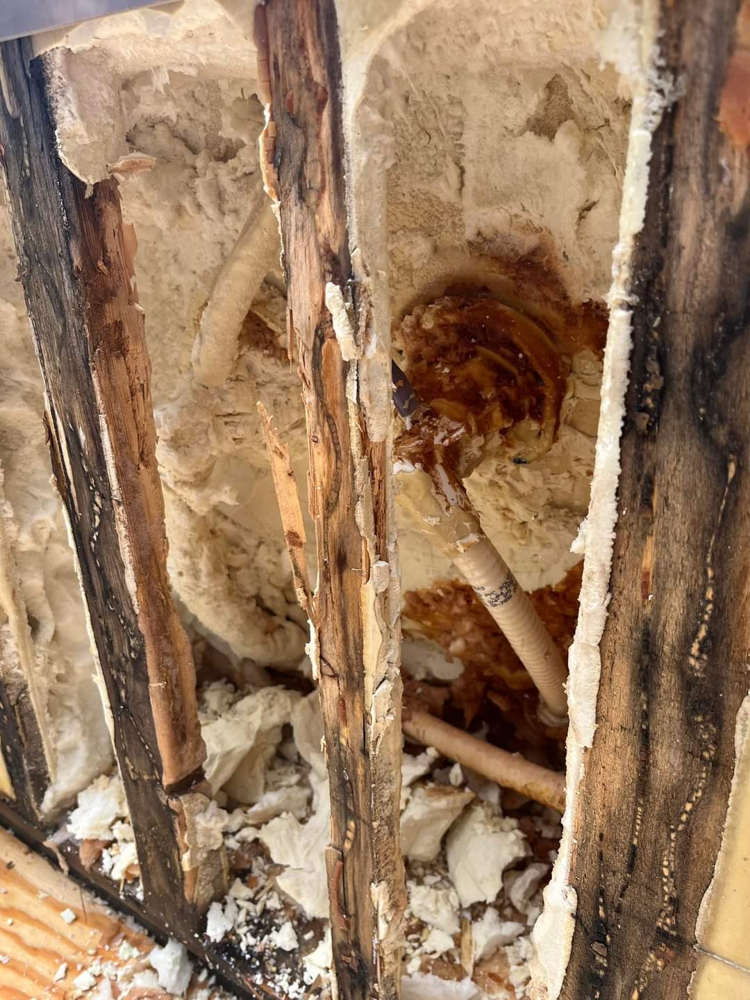 Severely rotted and blackened wood framing inside a full foam hot tub with saturated insulation